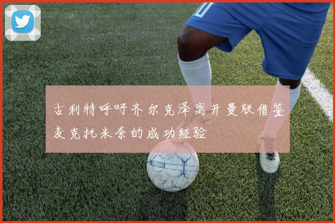 古利特呼吁齐尔克泽离开曼联借鉴麦克托米奈的成功经验